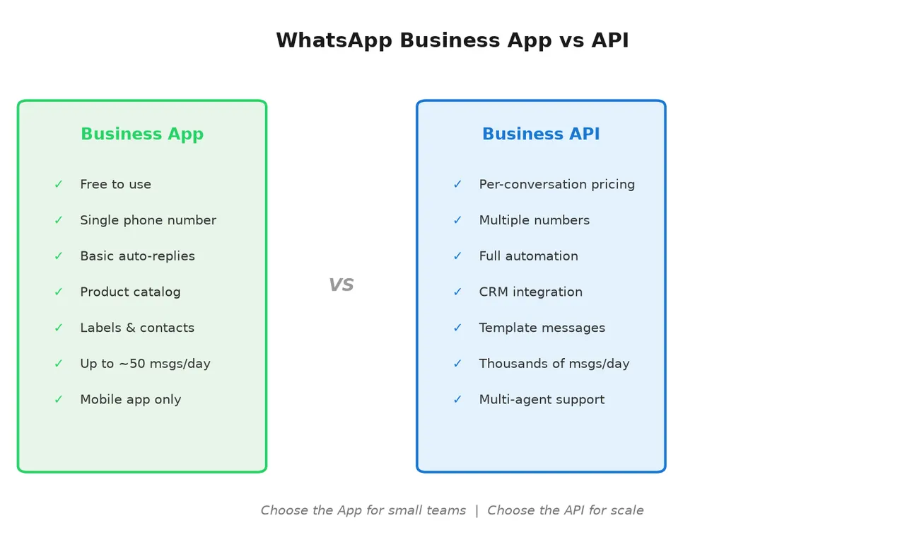 WhatsApp Business App vs API comparison