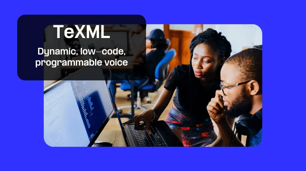 What is TeXML?