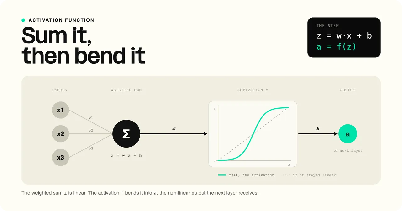 How a neuron applies an activation function, turning a weighted sum of inputs plus a bias into a non-linear output passed to the next layer.