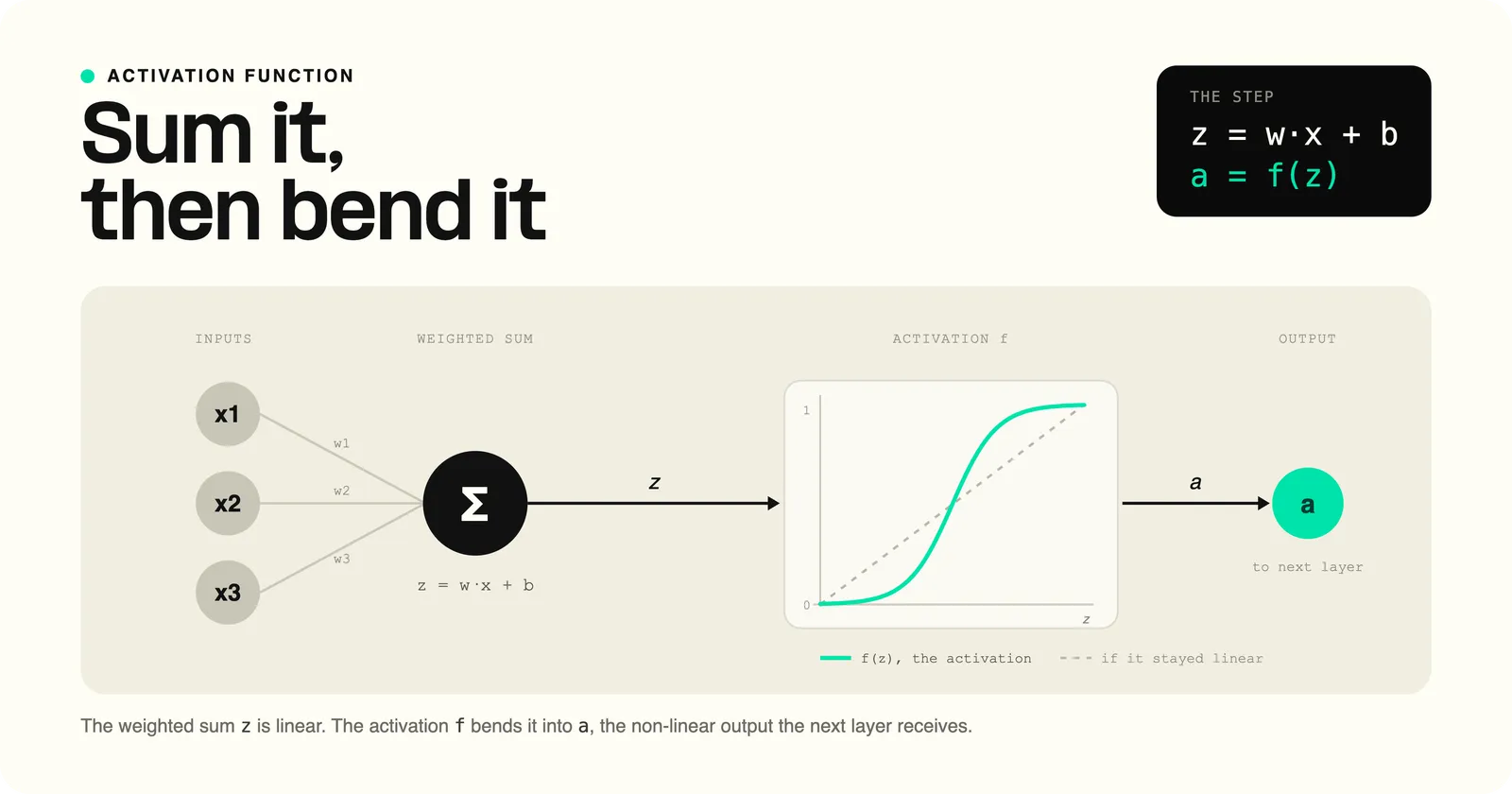 How a neuron applies an activation function, turning a weighted sum of inputs plus a bias into a non-linear output passed to the next layer.