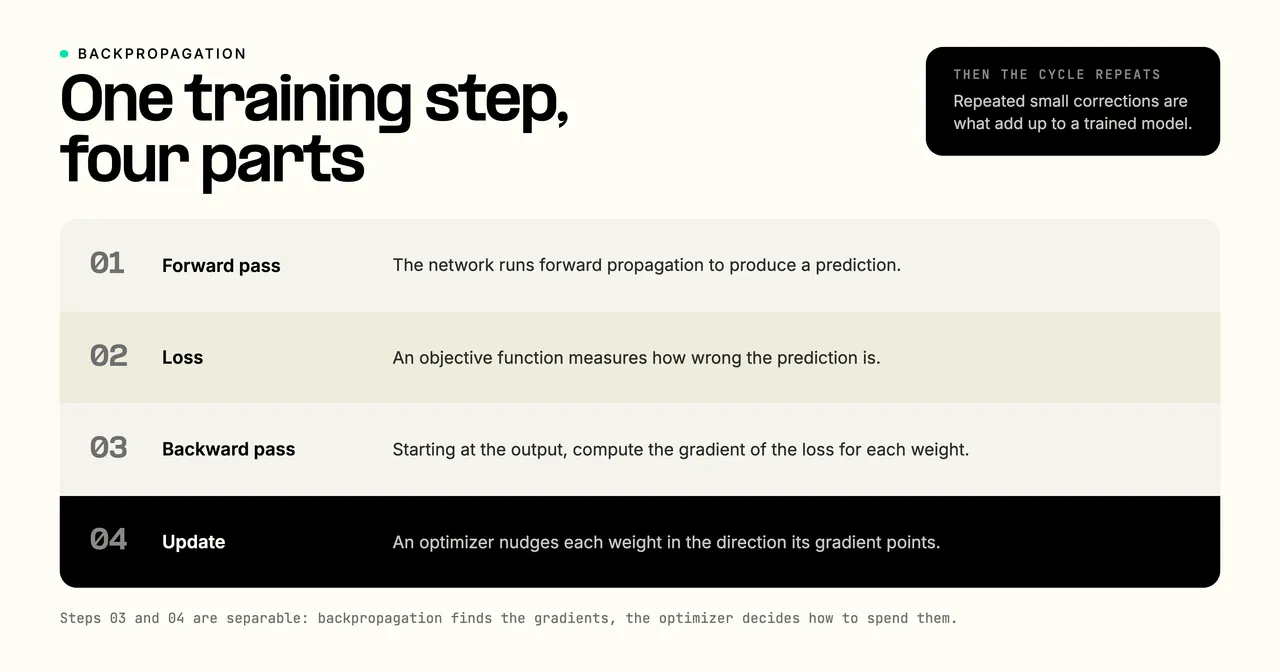 Backpropagation as one training step in four parts: the forward pass produces a prediction, the loss measures the error, the backward pass computes the gradient of the loss for each weight, and an optimizer updates the weights, then the cycle repeats.
