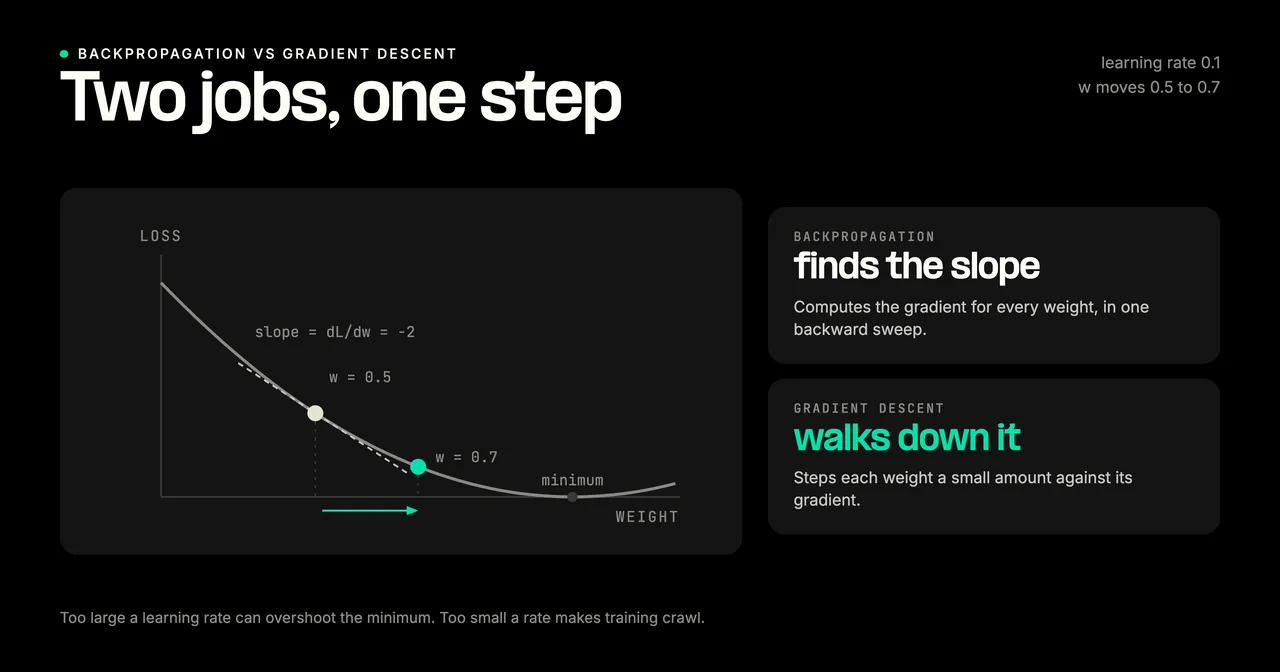 Backpropagation versus gradient descent on a loss curve: backpropagation finds the slope, the gradient dL/dw of -2 at weight 0.5, while gradient descent walks down it, stepping the weight from 0.5 to 0.7 with a learning rate of 0.1.