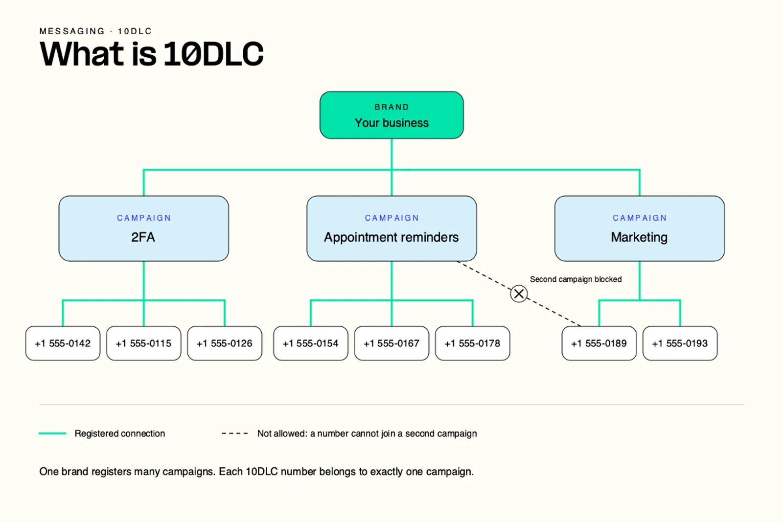 One brand registers many campaigns, and each 10DLC number belongs to exactly one campaign