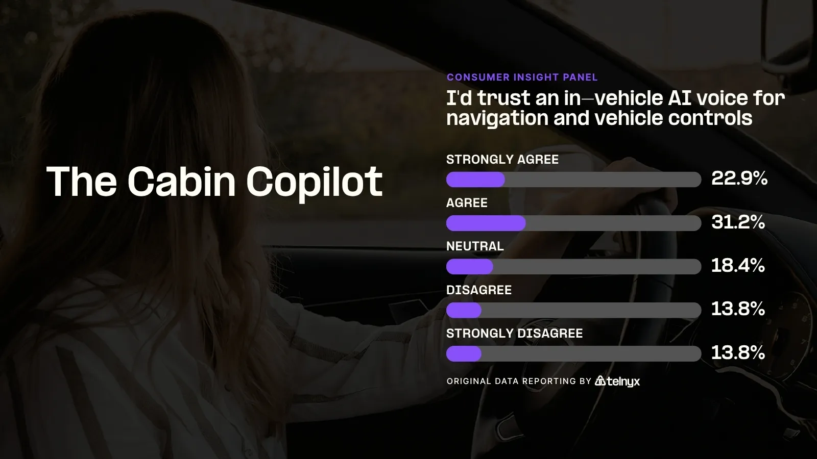 The Cabin Copilot - Infographic