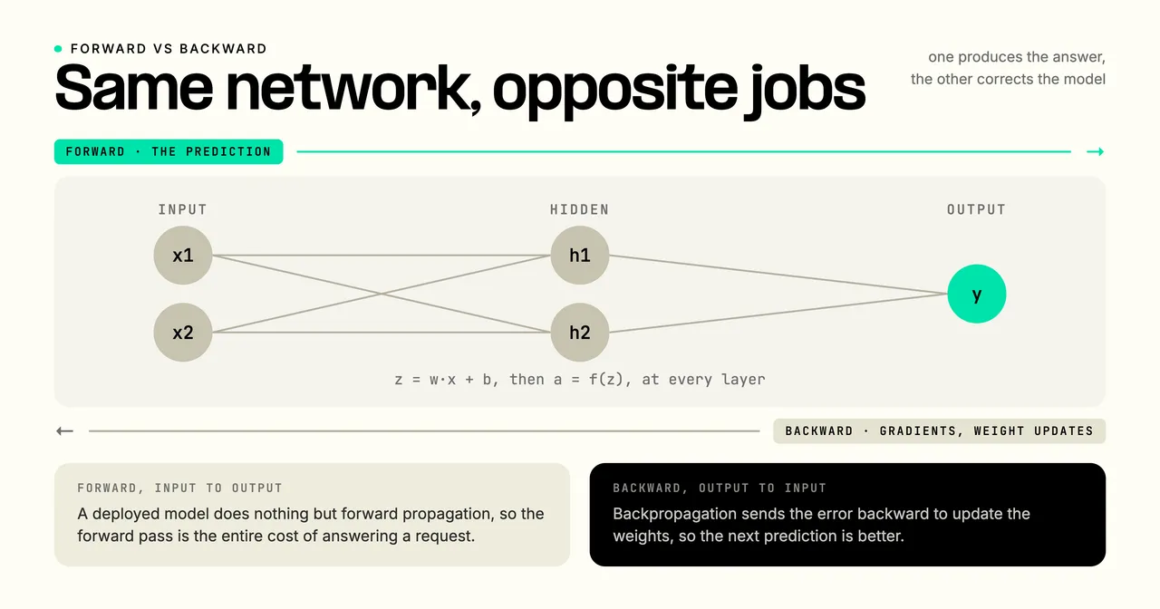 Forward versus backward propagation on the same network: forward propagation runs input to output to produce the prediction, while backward propagation runs output to input to compute gradients and update the weights.