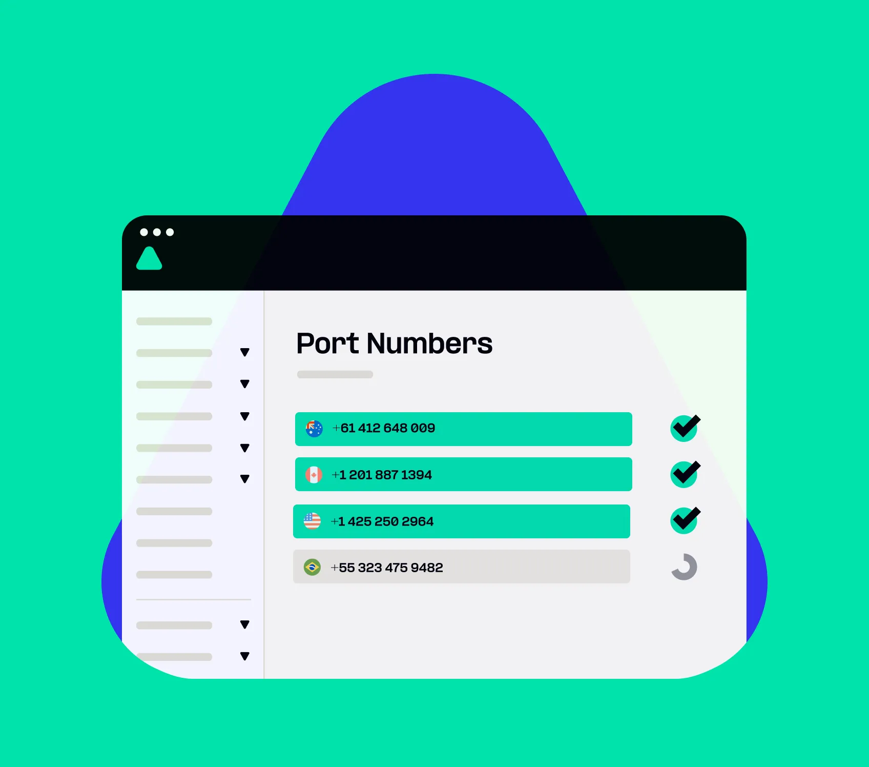 Port Numbers