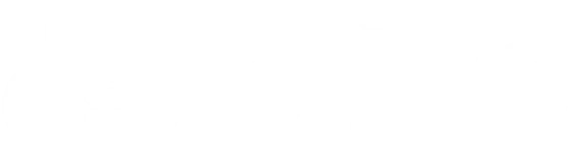 Plivo Logo