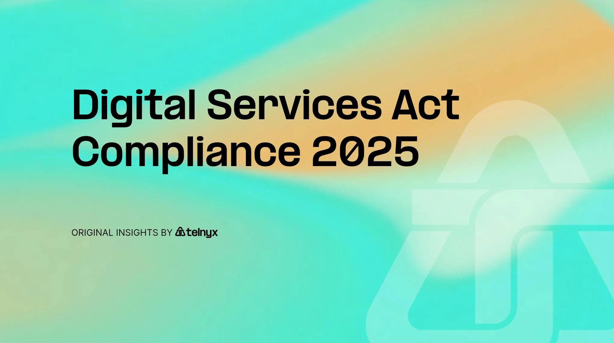 Digital Services Act Compliance 2025