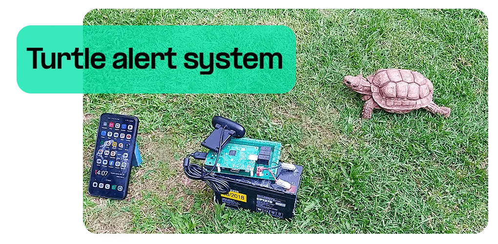 turtle alert system 2.png