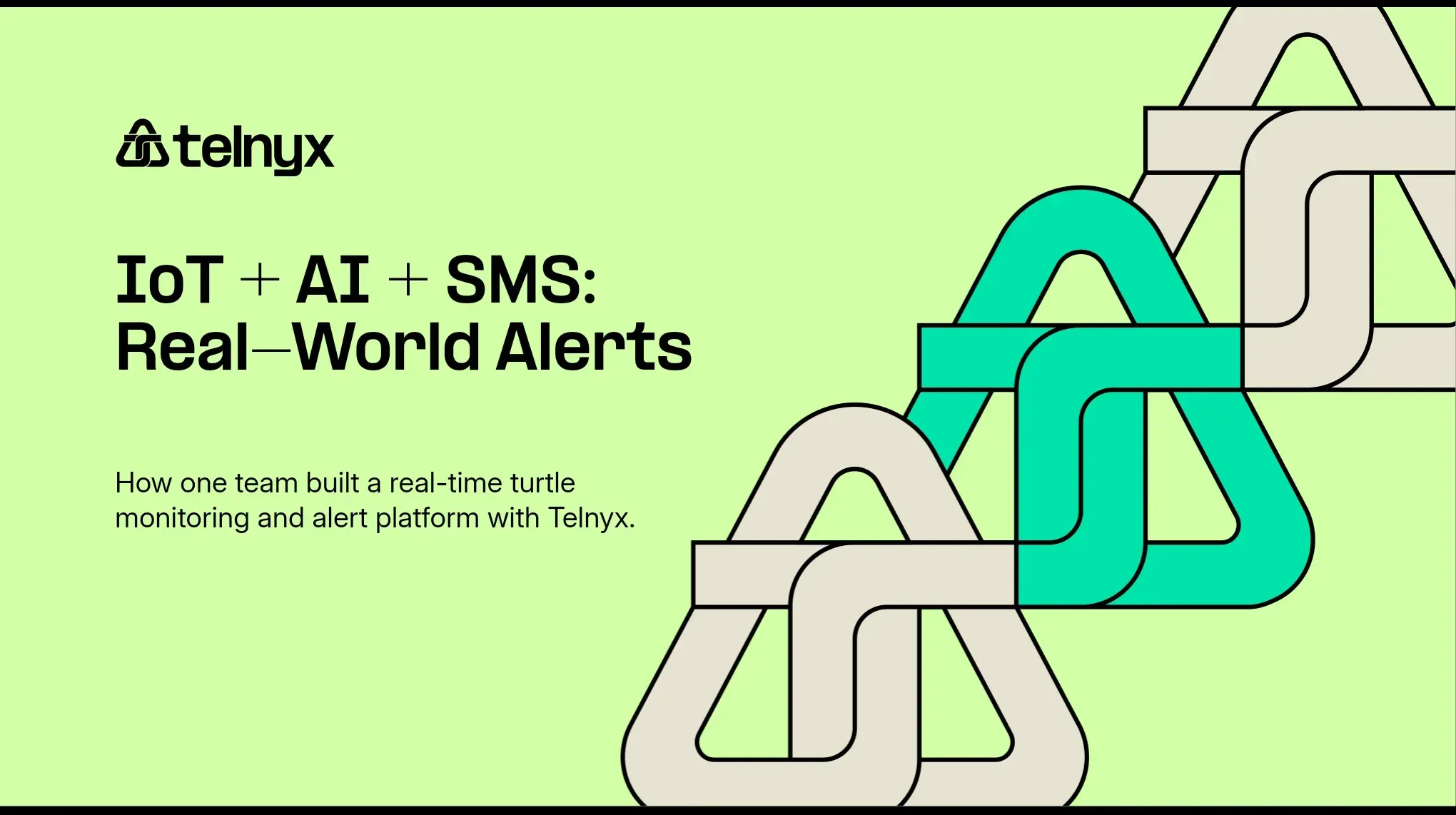 Building a turtle alert system with Telnyx AI, IoT & SMS